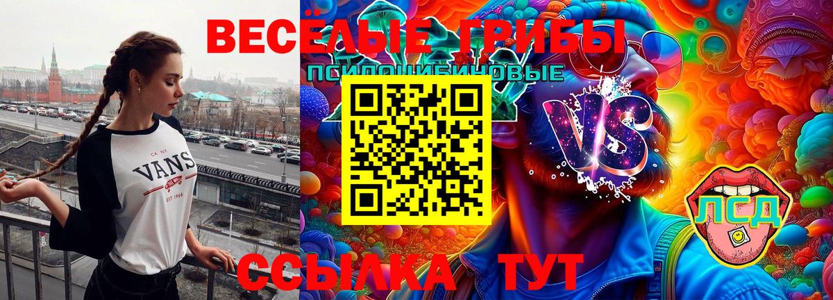 Дальнереченск  Псилоцибиновые грибы прущие грибы  Вход с VPN  Псилоцибиновые грибы Psilocybe 